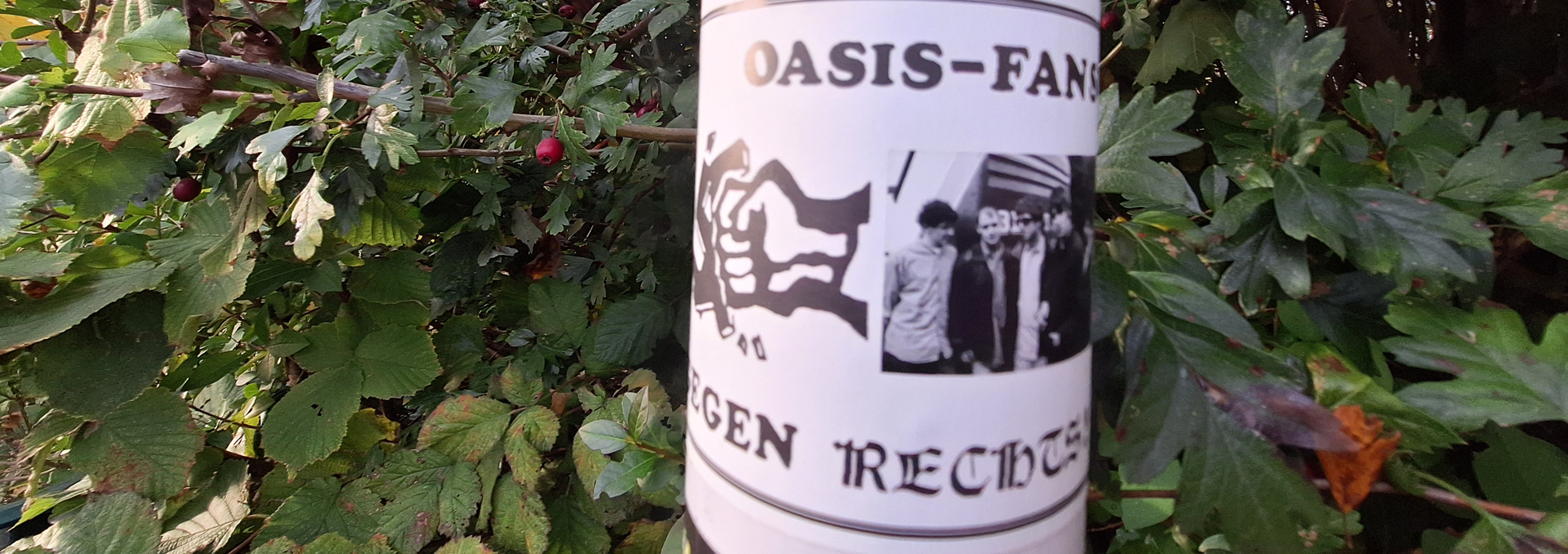 171321 oasis