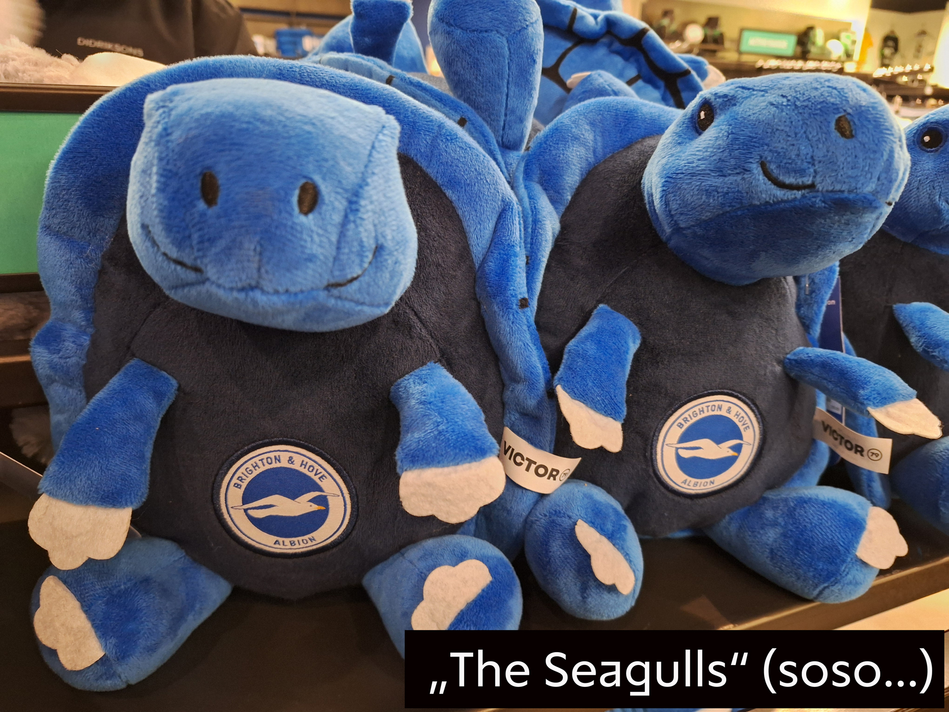 seagulls